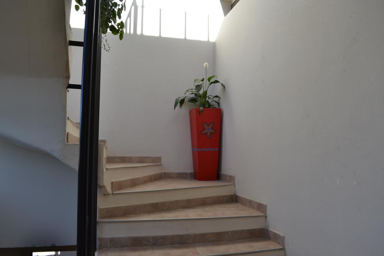 Guest House Jujuy San Salvador de Jujuy Exteriör bild
